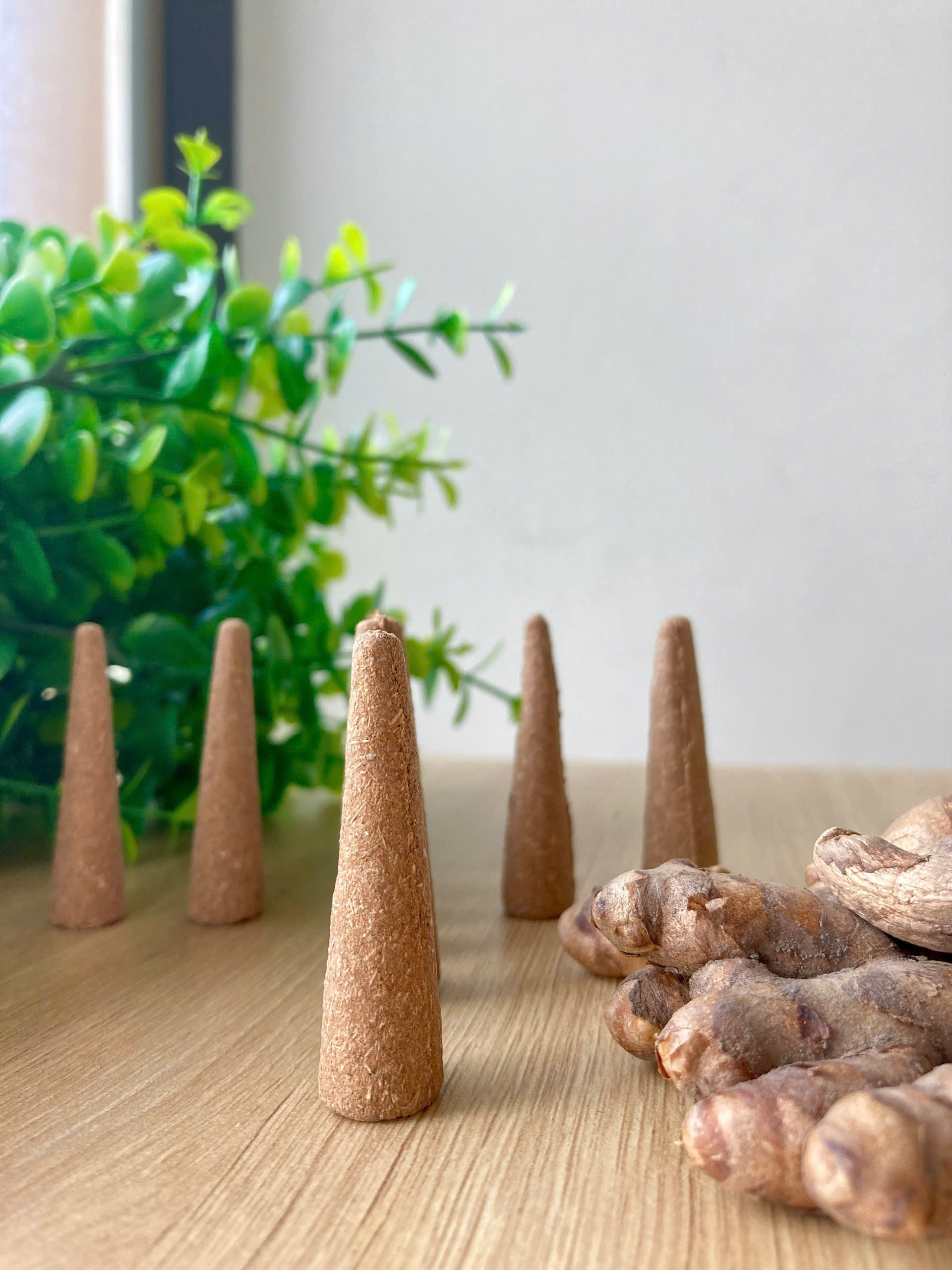 Nụ xông nghệ trắng